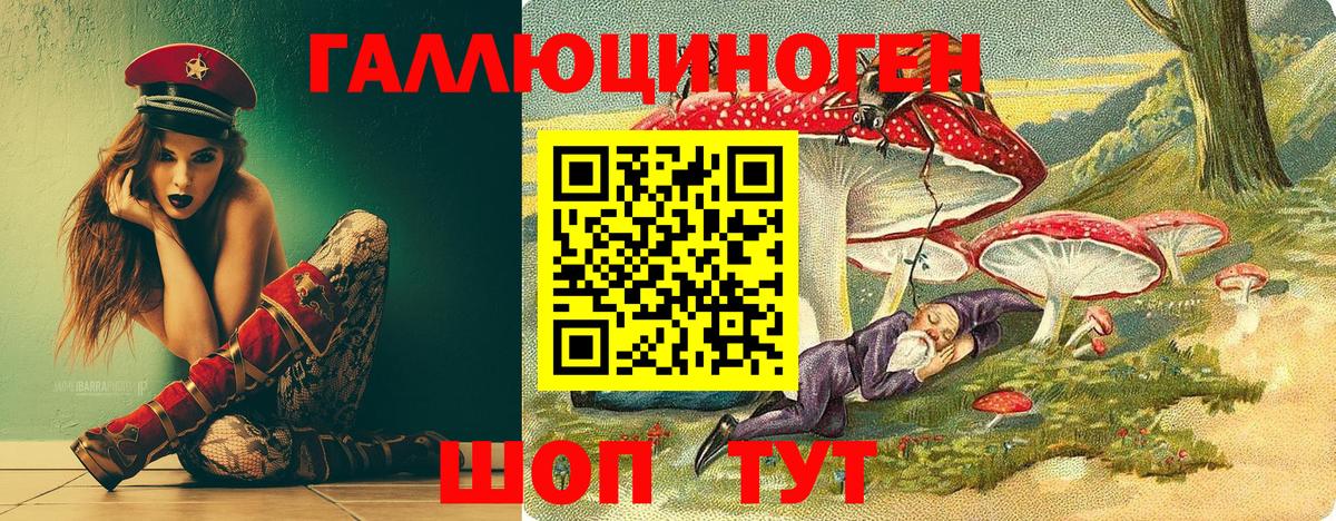 Щёлково  Псилоцибиновые грибы Psilocybe  Вход с VPN 